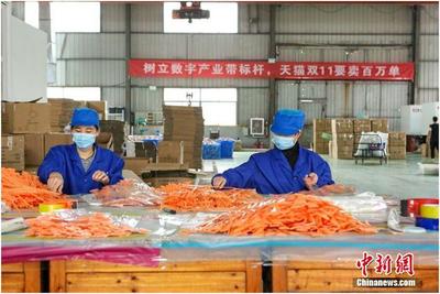 天貓雙11產(chǎn)業(yè)帶首日銷量井噴，7個產(chǎn)地1小時(shí)破億彰顯日用百貨消費(fèi)活力